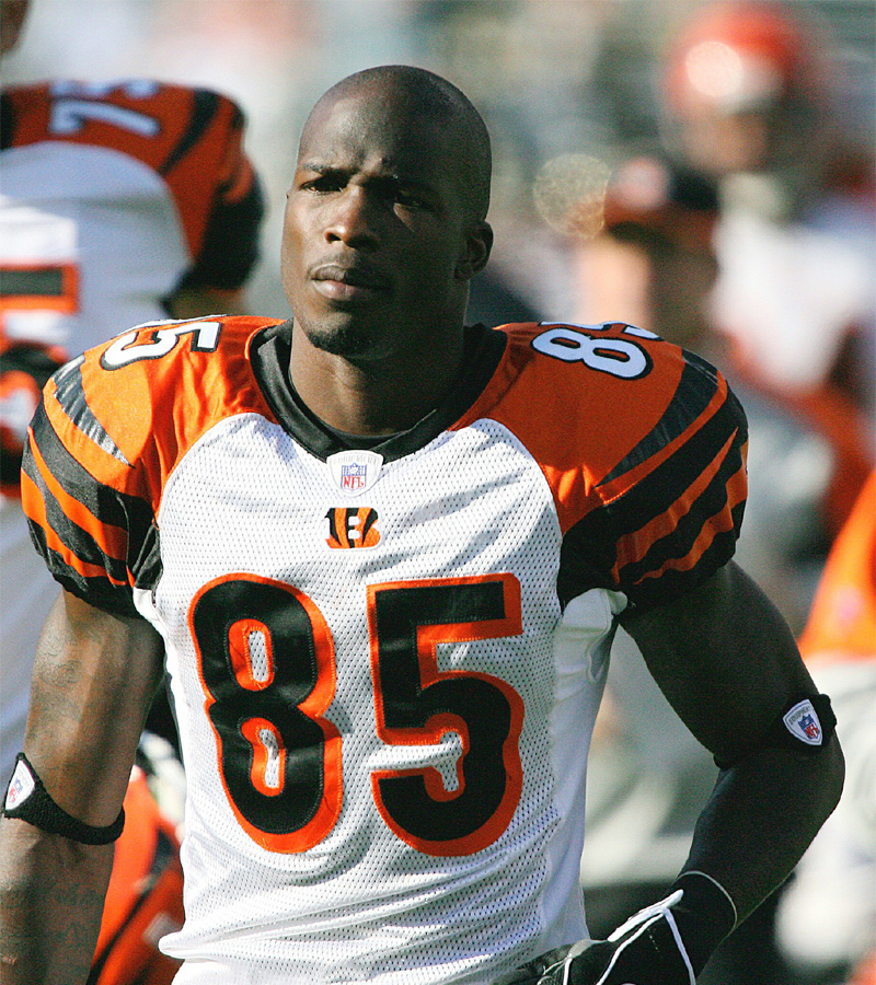 Chad Ochocinco Image